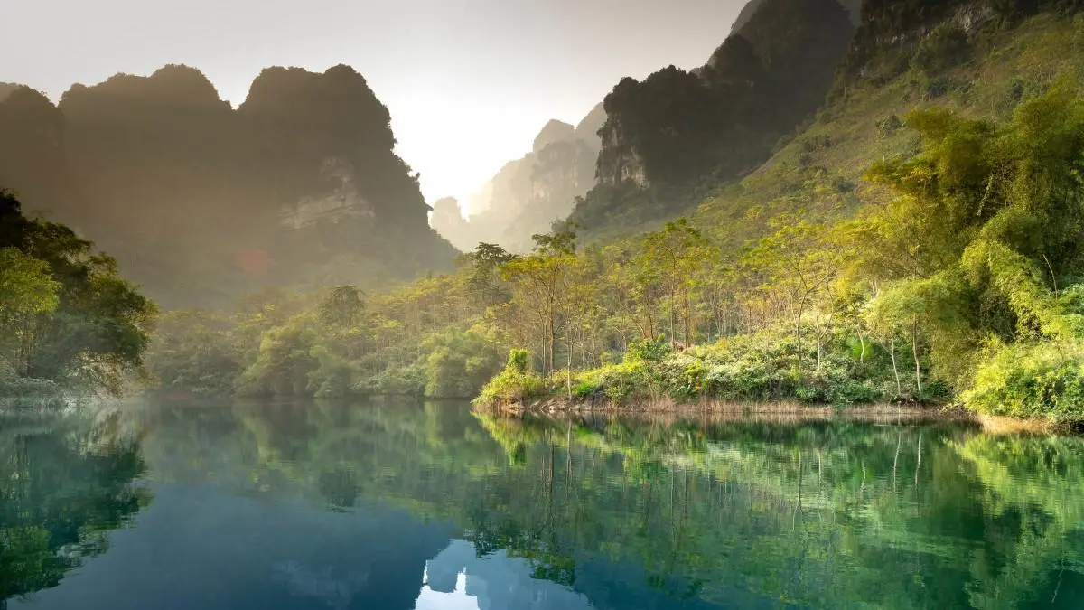 高性能智能系统全自动